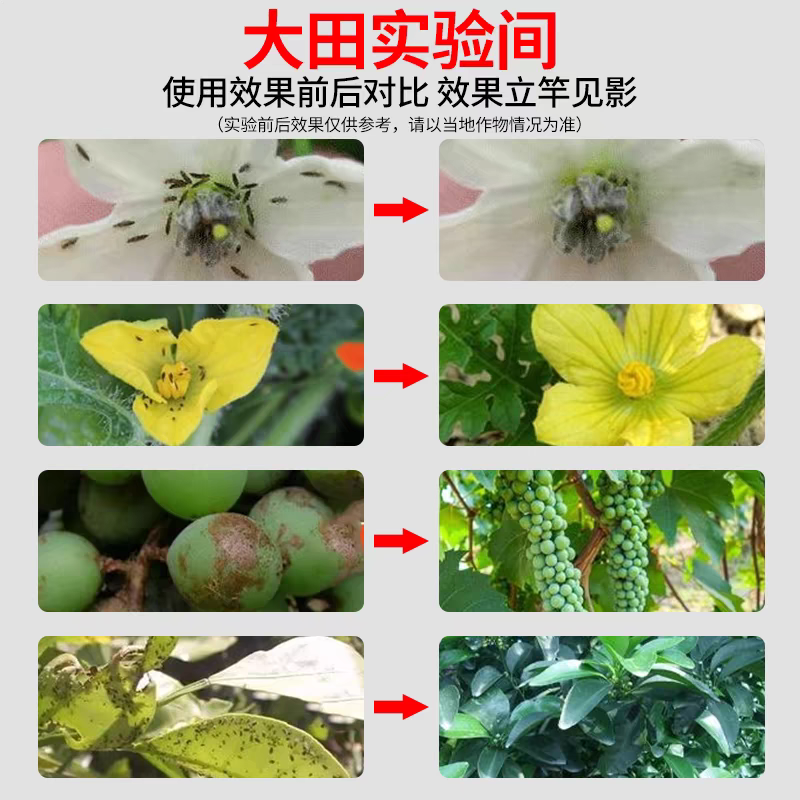 5%甲维盐蔬菜小菜蛾豆荚螟豆角茄子辣椒蓟马杀虫剂