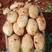 丽薯六号云南土豆专业产区产销一条龙服务对接各级批发