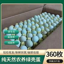 绿壳蛋360枚整箱商用批发正宗农家乌鸡蛋中通散养新鲜