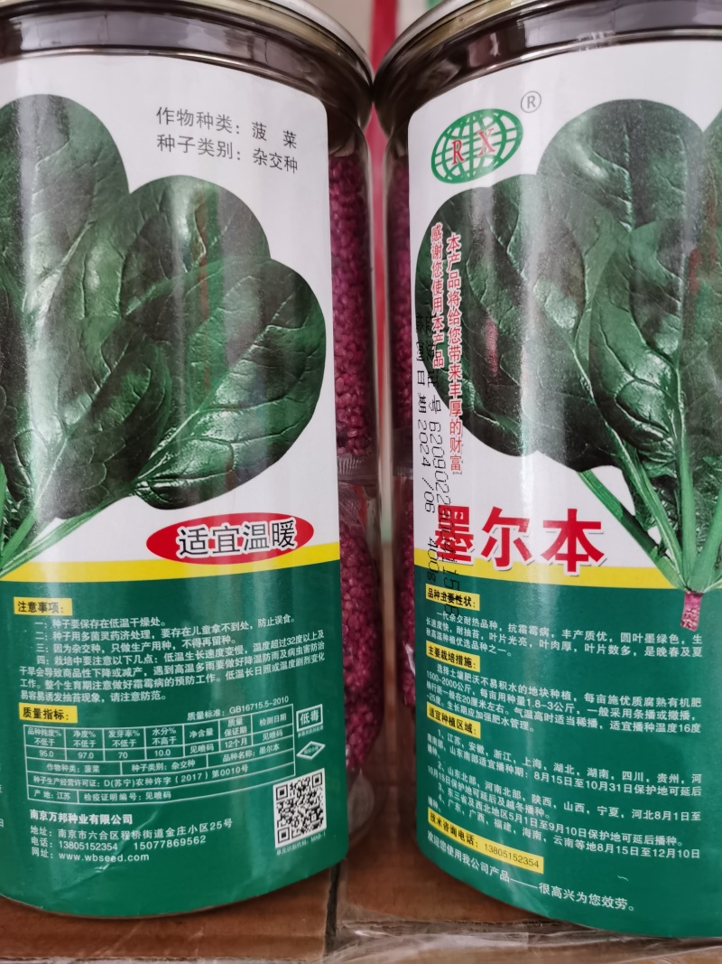 麦巴赫6000菠菜种子深绿光亮抗寒耐抽苔