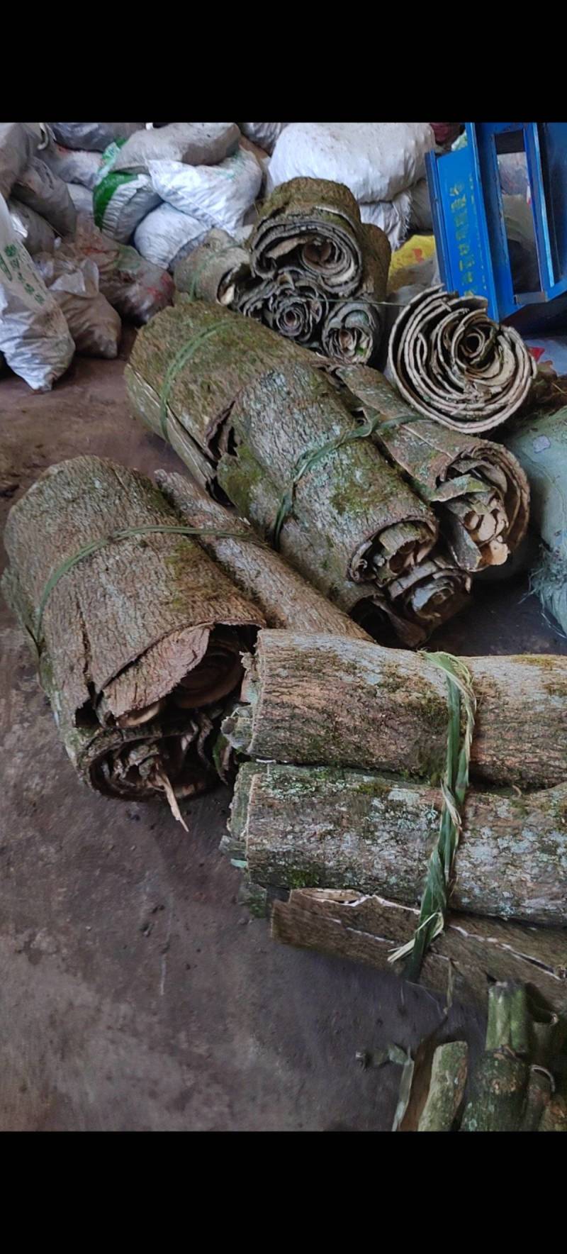 精品杜仲皮产地直发常年供应品质好货源充足欢迎咨询