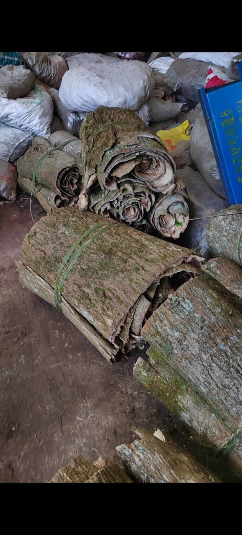 精品杜仲皮产地直发常年供应品质好货源充足欢迎咨询