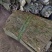 精品杜仲皮产地直发常年供应品质好货源充足欢迎咨询