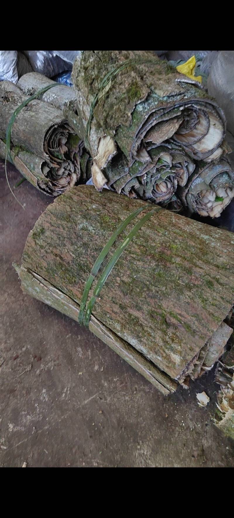 精品杜仲皮产地直发常年供应品质好货源充足欢迎咨询