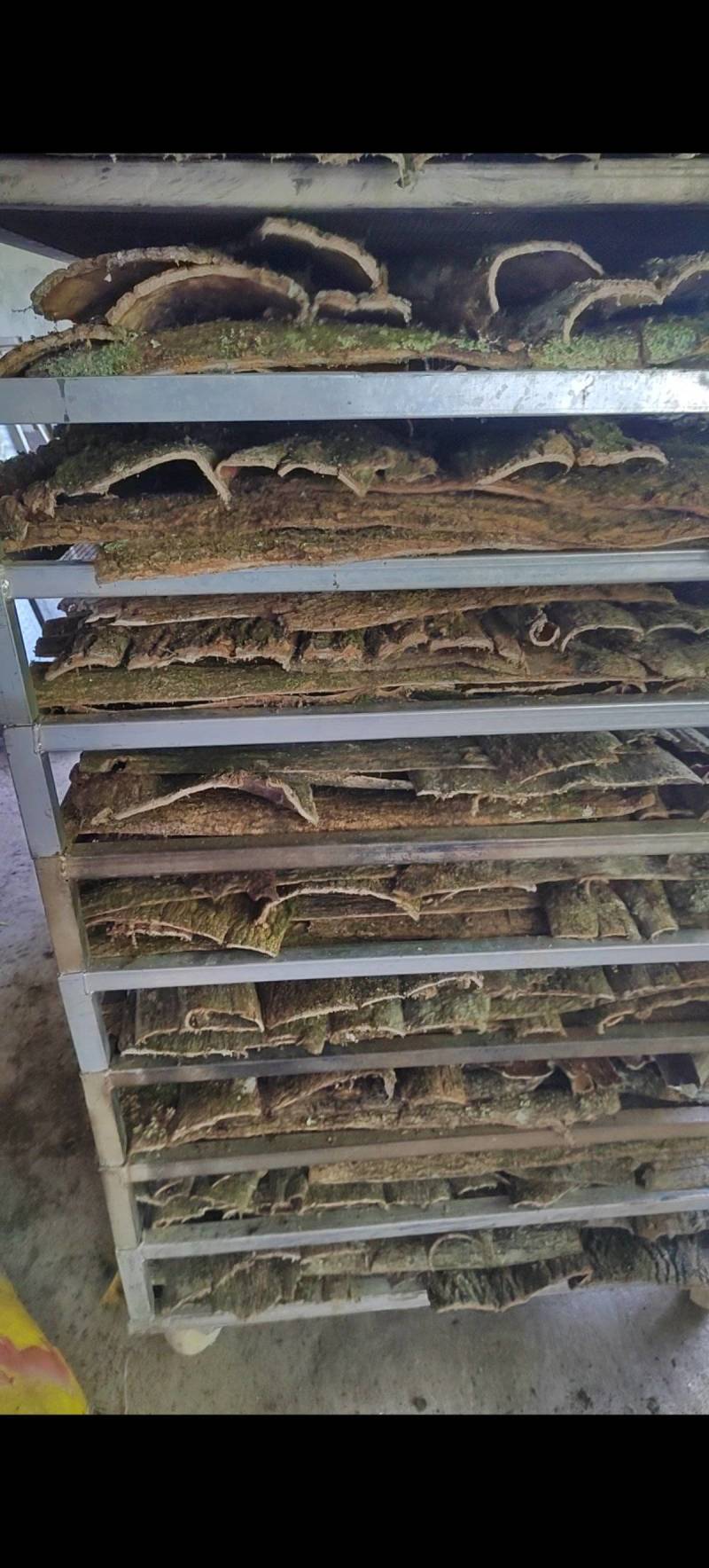 精品杜仲皮产地直发常年供应品质好货源充足欢迎咨询