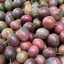 紫香百香果大量上市品质保证对接商超市场电商一件代发