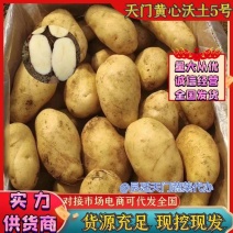 湖北土豆黄心土豆沃土5号产地一手货源实力代发全国
