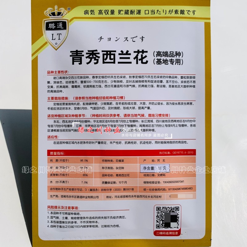 青秀西兰花种子杂交西蓝花种籽新品种抗病丰产基地专用春秋