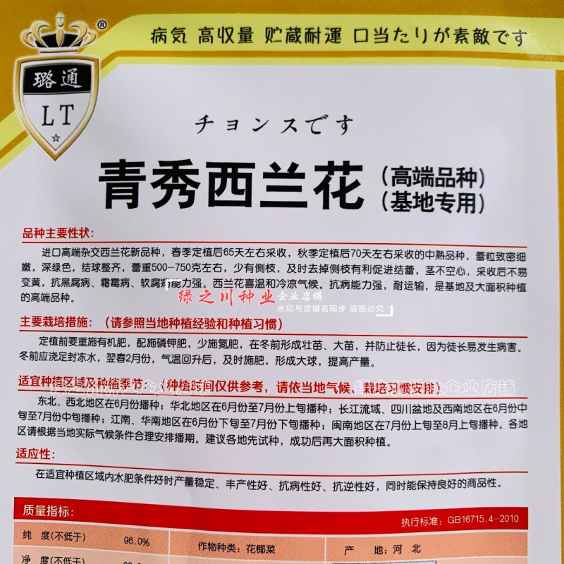 青秀西兰花种子杂交西蓝花种籽新品种抗病丰产基地专用春秋