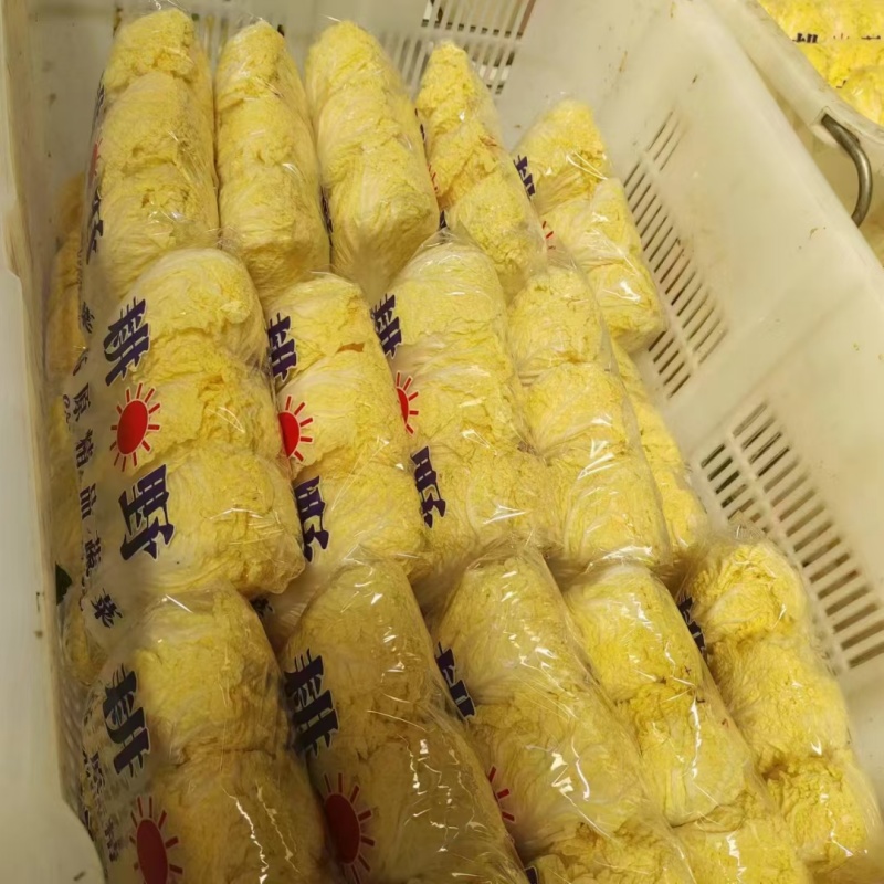 小娃娃菜-兰州高原夏菜精品小娃娃菜产地直销，货源充足，全