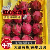 红心火龙果，广东火龙果大量上市一手货源保质保量来电更