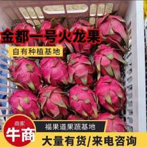 金都一号火龙果，广东火龙果大量上市，一手货源保质保量
