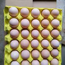 红心粉蛋，净重43、采用防水蛋托新包装。