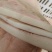 新鲜生牛皮无盐无添加去毛无油做牛杂凉拌麻辣牛皮做牛皮冻泡