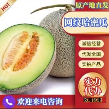 【网纹哈密瓜】鲁厚甜/玫珑/莘县哈密瓜/全国代收代发
