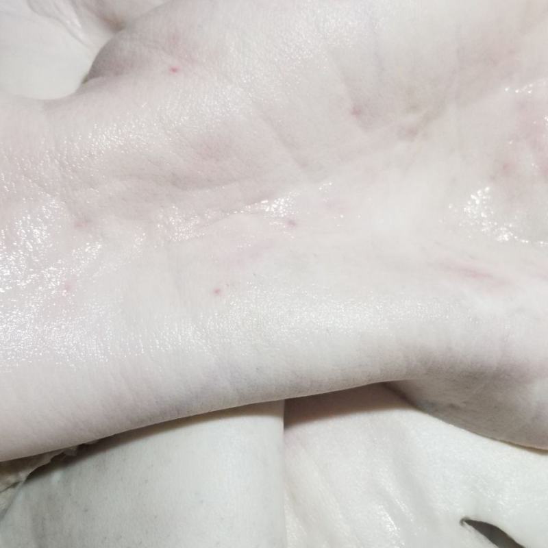 新鲜生牛皮新鲜牛皮无盐去油去毛牛杂凉拌麻辣牛皮黄牛皮