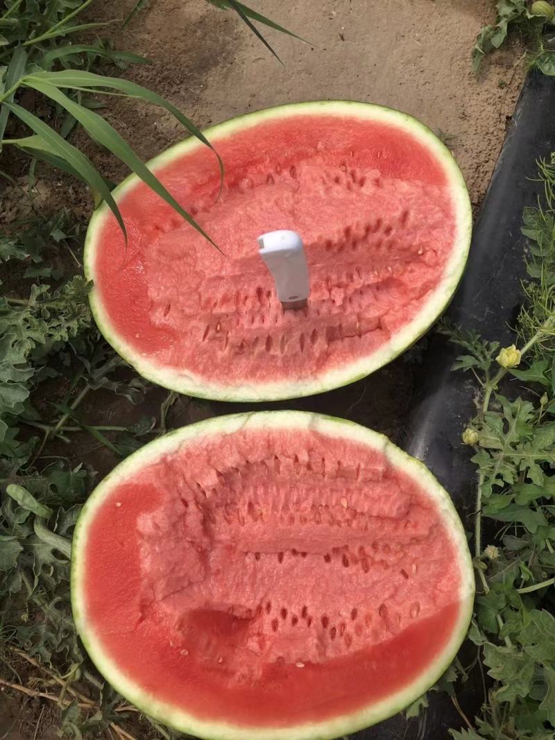 【优选】陕西西瓜甘美4K产地直发价格优惠-可对接电商商超