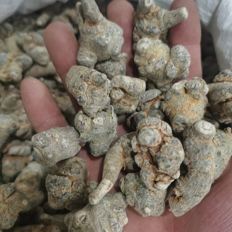 三七标准60头三七水洗三七各种规格三七