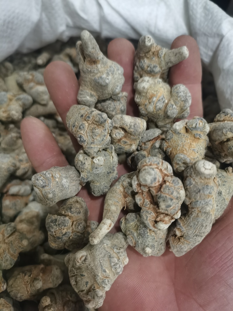 三七标准60头三七水洗三七各种规格三七