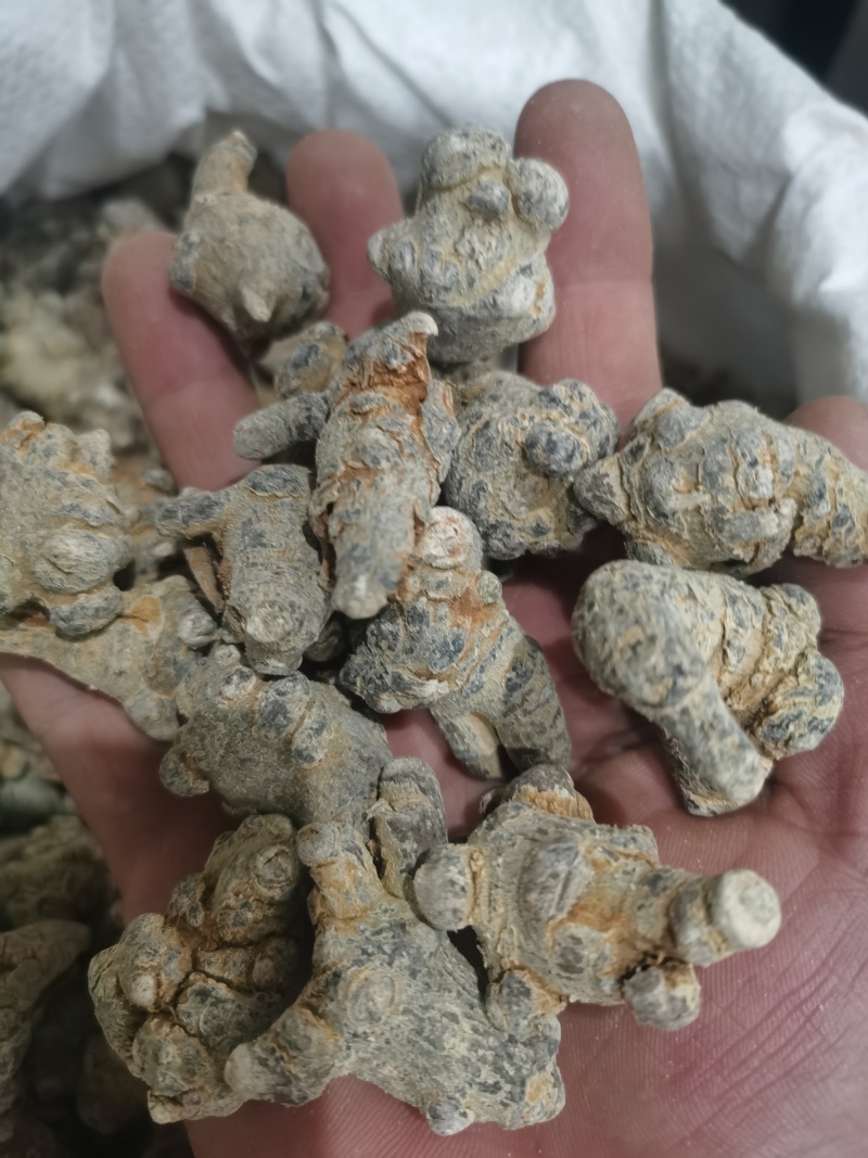 三七标准60头三七水洗三七各种规格三七