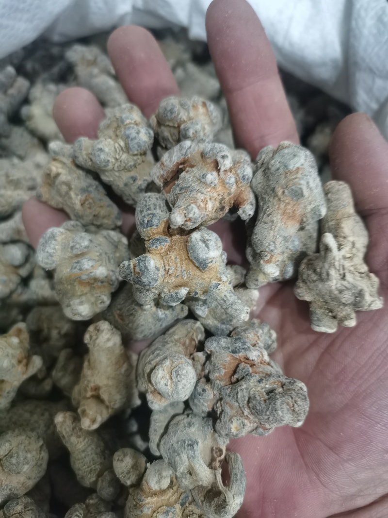 三七标准60头三七水洗三七各种规格三七