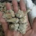 三七标准60头三七水洗三七各种规格三七