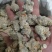 三七标准60头三七水洗三七各种规格三七