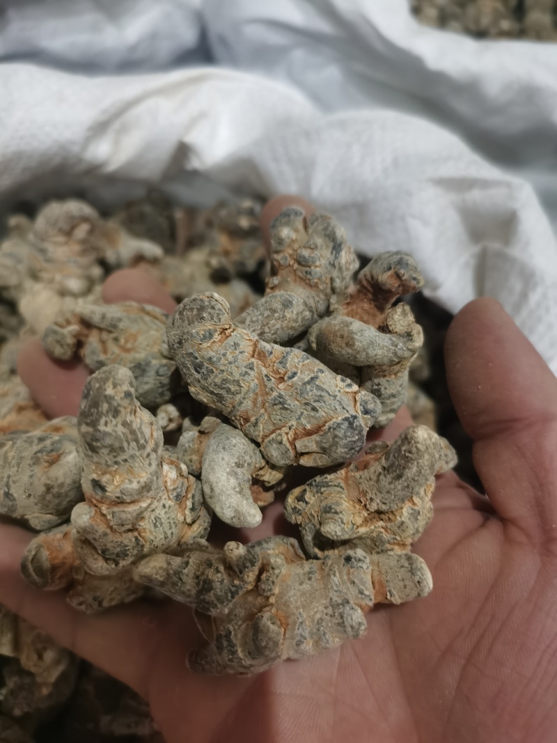 三七标准40头水洗三七各种规格三七
