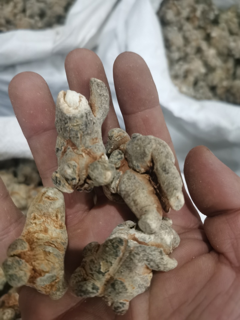 三七标准40头水洗三七各种规格三七