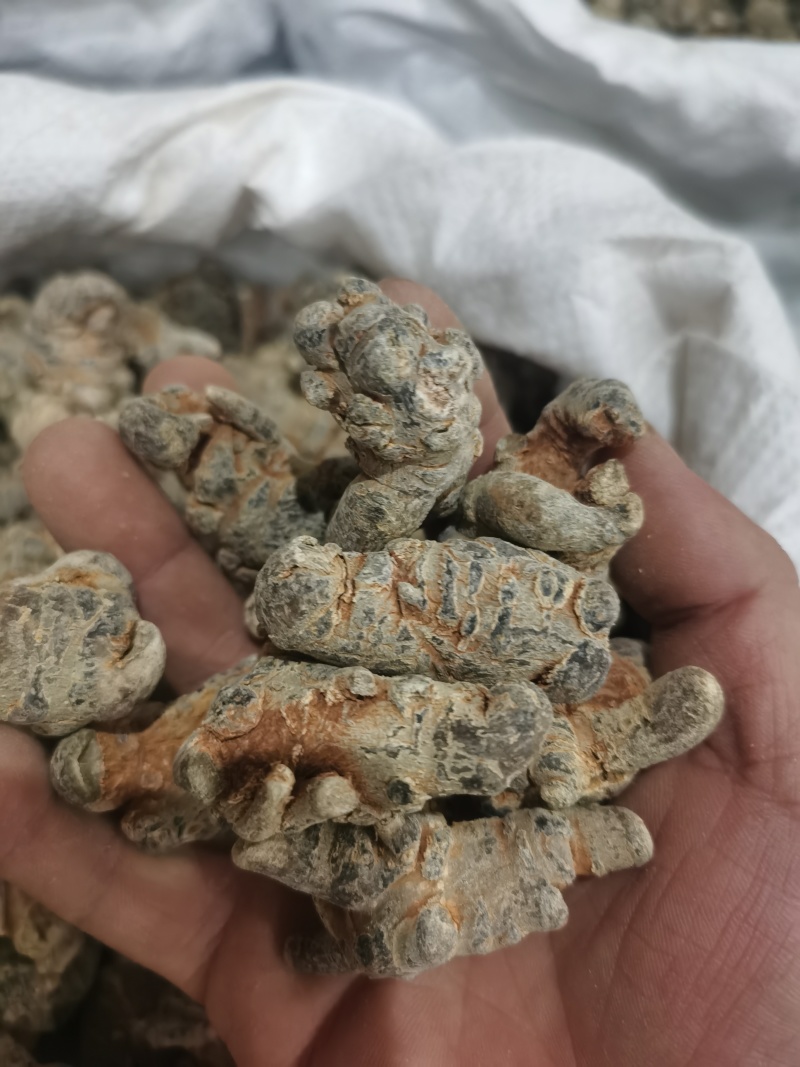 三七标准40头水洗三七各种规格三七