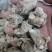 三七标准40头水洗三七各种规格三七