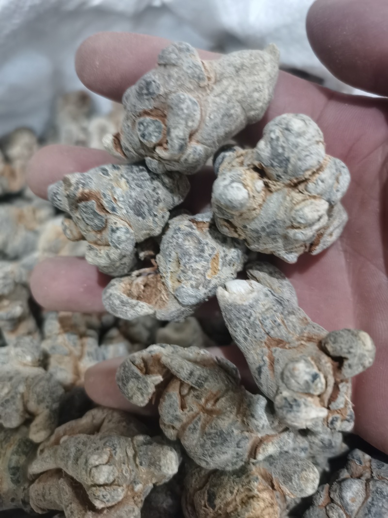 三七标准40头水洗三七各种规格三七