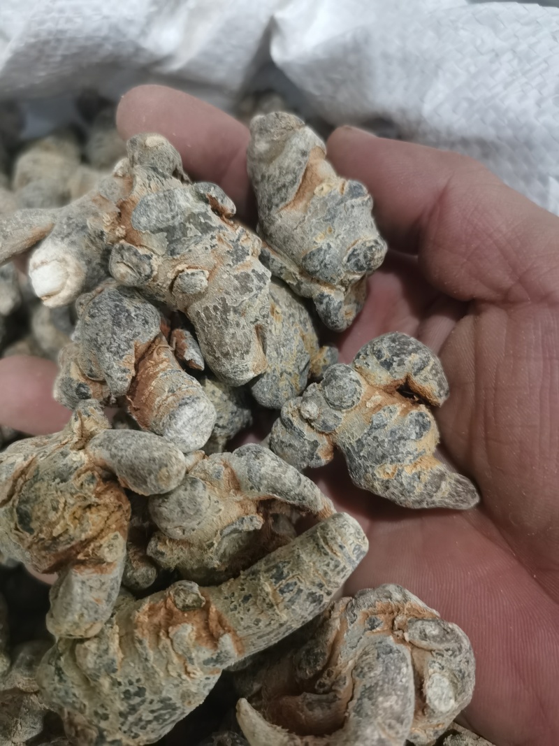 三七标准40头水洗三七各种规格三七