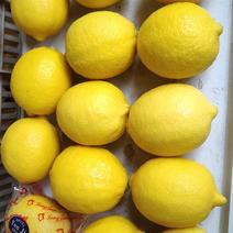 黄柠檬产地直销，对接各批发市场及电商一件