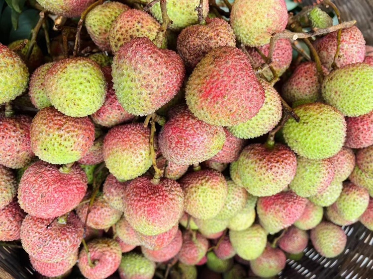 妃子笑荔枝与健康饮食组合：白瓷盘中盛放12颗去壳妃子笑果肉，旁配5g原味杏仁、30g凉拌菠菜、一小杯无糖绿茶，整体构图清新自然