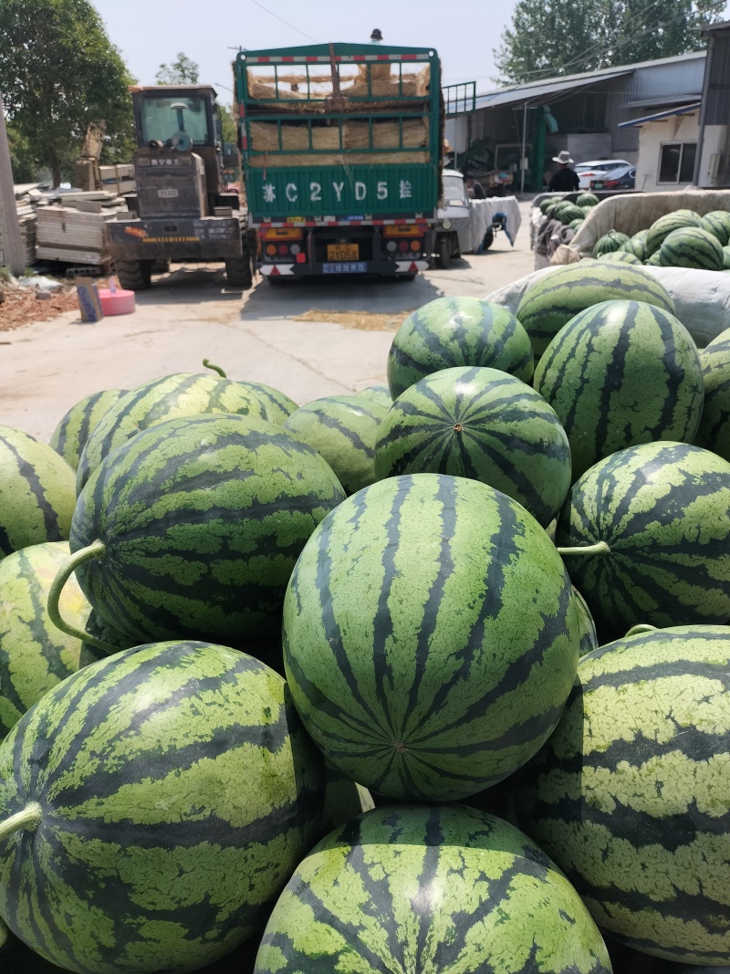 安徽省甜王西瓜，大红瓤黑籽，头茬鲜瓜，含糖量高，产地现货
