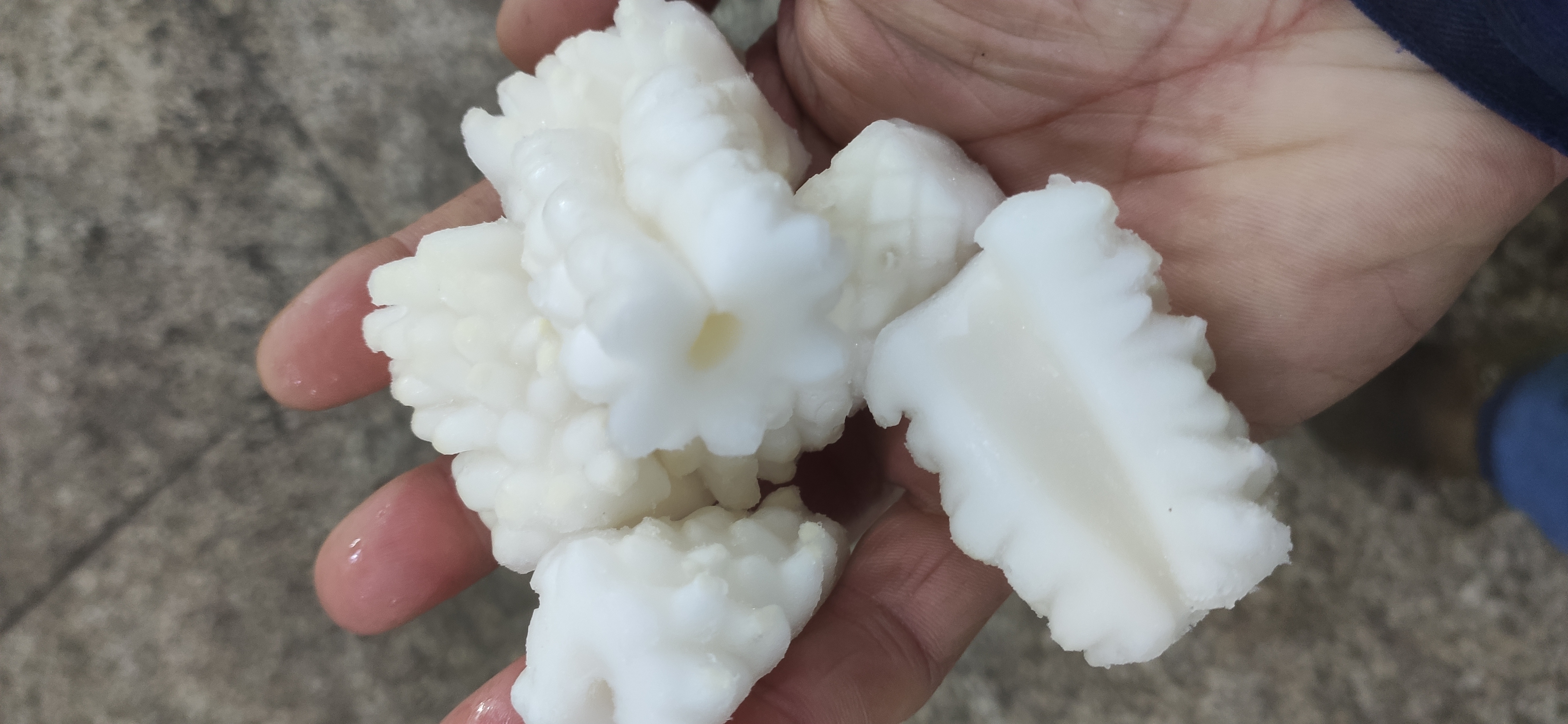 鱿鱼白灼过程展示