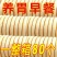 整箱80个】山药软法式雪饼面包饼干传统糕点粗粮早餐食品