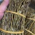 浙江雁荡山基地直销铁皮石斛捆条长干条5公斤起批