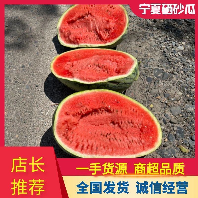 【推荐】宁夏硒砂瓜代办包熟包甜耐运输供应市场商超量大从优