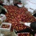 各种油桃中油4，7杠17，金辉，四八，八杠44，旭光，中