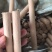 艾草棒1000根50套底座