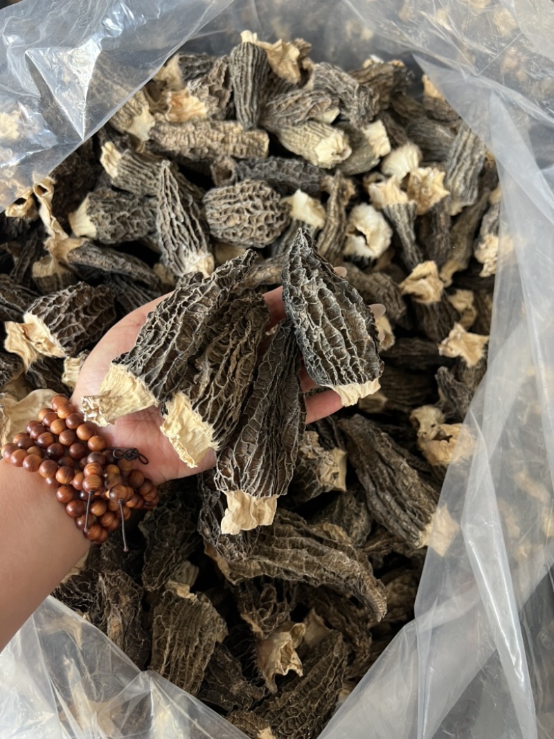 下架羊肚菌干货手选性价比大个头