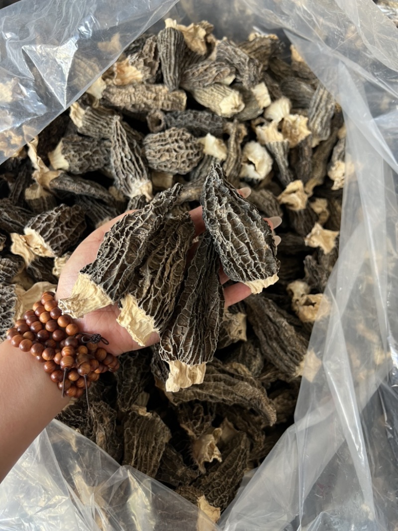 下架羊肚菌干货手选性价比大个头