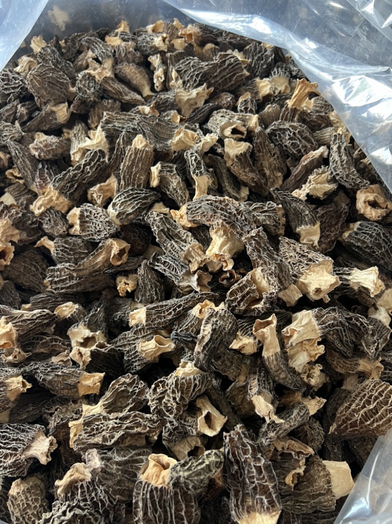 优质羊肚菌干货5-7手选货，性价比高无杂质，无碎片精选货