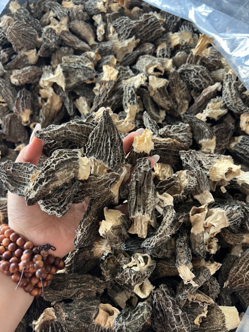 优质羊肚菌干货5-7手选货，性价比高无杂质，无碎片精选货