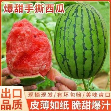 无籽小吊瓜自家种植货源充足质量三包价格可谈