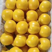 黄油桃黄金蜜油桃安徽油桃产区直发货源稳定代收
