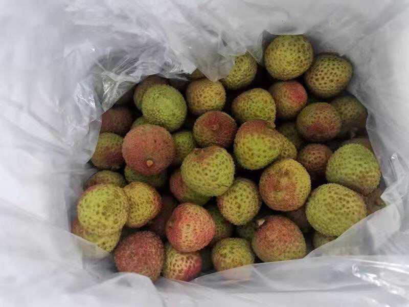 荔枝，基地供应大量供应，欢迎电话联系沟通洽谈业务