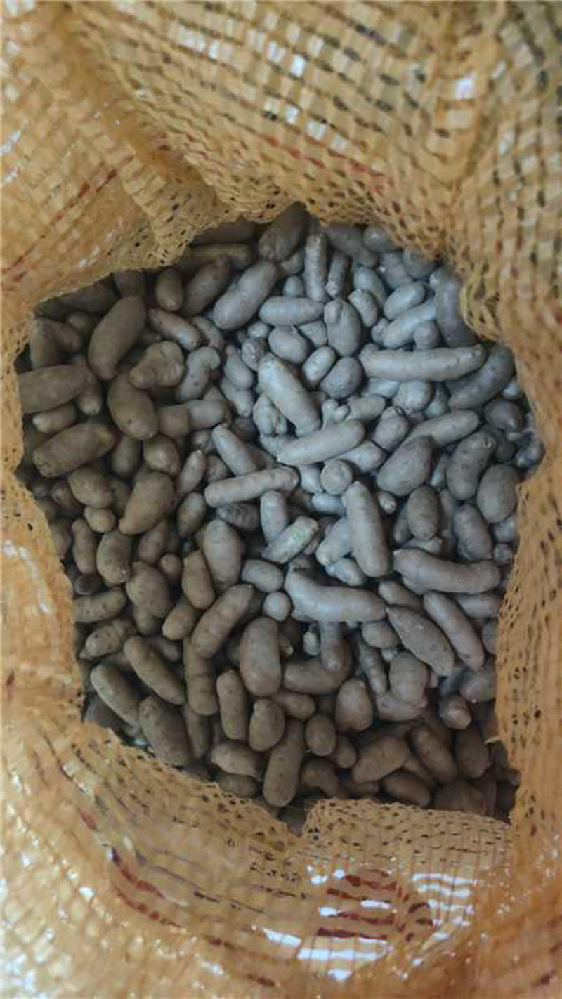 河北精品山药豆，冰糖葫芦使用，品质好，价格低，可发全国